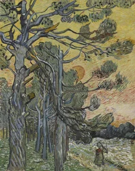 Pinos al atardecer