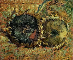 Dos girasoles cortados, 1887