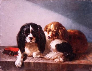 Un par de Cavalier King Charles Spaniels en un borde