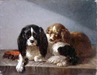 Spaniels del rey Carlos