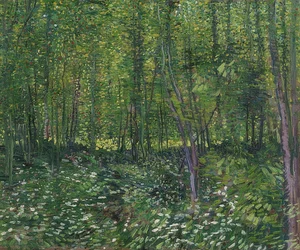 Árboles y maleza