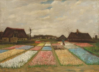 Parterres de flores en Holanda. Alrededor de 1883