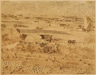 Cosecha en la Provenza