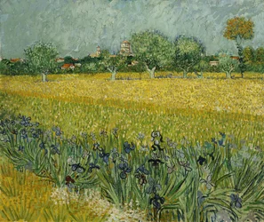 Campo con flores cerca de Arles