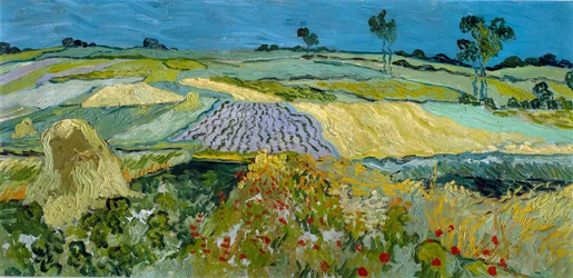 Campos cercanos a Auvers