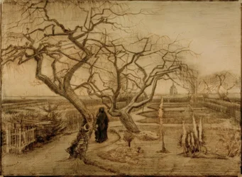 Jardín en invierno