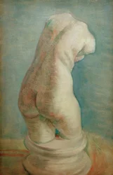 Torso de yeso (femenino) visto desde atrás