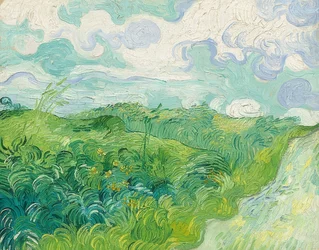 Campos de trigo verdes, Auvers