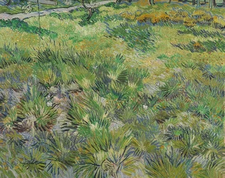 Hierba alta con mariposas