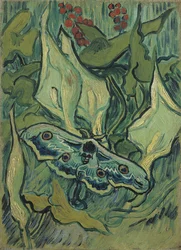 La gran polilla pavo real verde (esfinge de cabeza de muerto) - Pintura de Vincent van Gogh (1853-1890)
