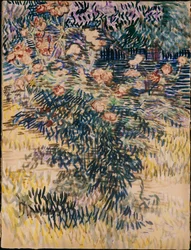 Adelfas, el jardín del hospital en Saint-Remy, 1889