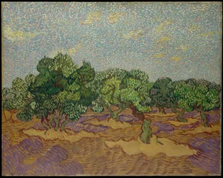 Olivos