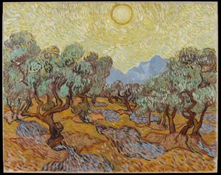 Olivos