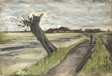 Sauce trasmocho, 1882