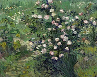 Pintura ""Roses"" de Vincent van Gogh (1853-1890) 1889 Museo Nacional de Arte Occidental, Tokio, Japón