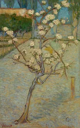 Pequeño peral en flor