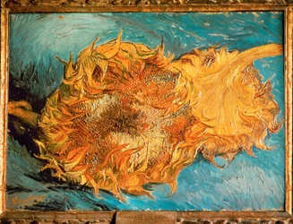 Girasoles (pintura sobre lienzo)