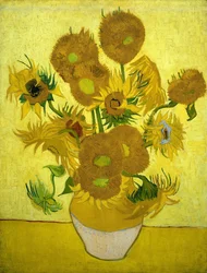 Girasoles