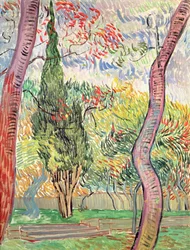 El jardín del Hospital de St. Paul, St. Remy, octubre de 1889