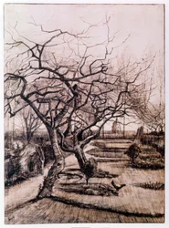 El jardín de la rectoría en Nuenen en invierno (1884)