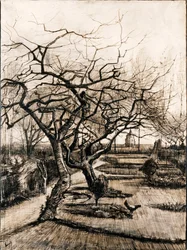 El jardín de la rectoría en Nuenen en invierno