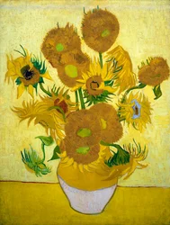 Los Girasoles