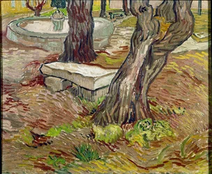 El parque del asilo de Saint Paul en Saint-Rémy o Banco de Piedra