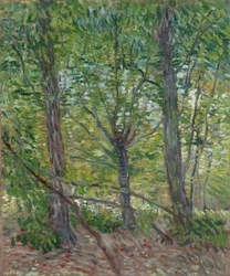 Árboles
