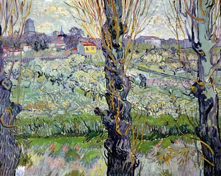 Vista de Arlés