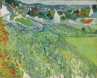 Viñedos en Auvers