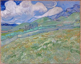 Campos de trigo y montañas