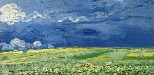 Campo de trigo bajo nubes de tormenta