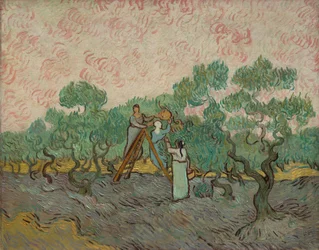 Mujeres recogiendo aceitunas, 1889