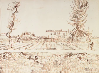 Trabajando en los campos de Arles, 1888