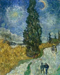 Camino de cipreses bajo el cielo estrellado