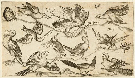Once pájaros y dos insectos en un suelo mínimo con un búho con las alas extendidas