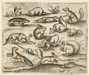 Grupo de pequeñas criaturas del bosque comiendo y corriendo alrededor de un estanque, incluyendo un ratón, 1557