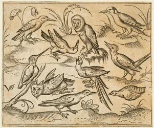 Diez pájaros sentados en ramas y parches de hierba, incluidos dos búhos y un pájaro, 1557
