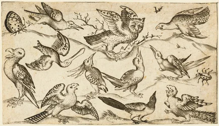 Once pájaros y dos insectos sobre un suelo mínimo con un búho con las alas extendidas sentado en una rama en el centro con otros pájaros rodeando y burlándose del búho, del Álbum I de Impresiones de Ornamentos Douce, después de 1572 (grabado sobre papel ve