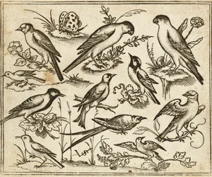 Once pájaros sentados en parches de follaje florecido y pequeñas ramas sobre un suelo mínimo con una mariposa, del Álbum I de Impresiones Ornamentales Douce