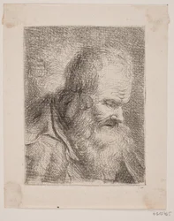 Viejo barbudo, retrato de busto