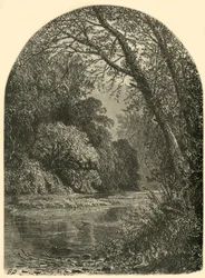 Islas de musgo, en el Juniata, 1874
