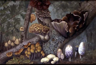 Hongos en el bosque (óleo sobre tabla)