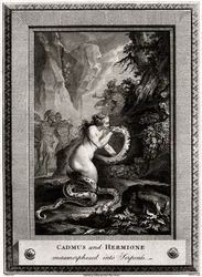 Cadmo y Hermione, metamorfoseados en serpientes, 1776