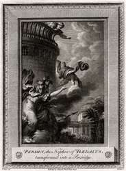 Pérdix, el sobrino de Dédalo, transformado en perdiz, 1774