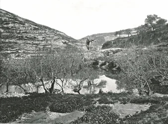 El estanque de Siloé, Jerusalén, Palestina, 1895