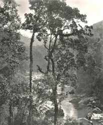 Vista del río Kelani, Kurunegala, Ceilán, 1895