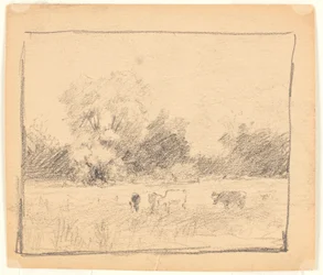 Paisaje