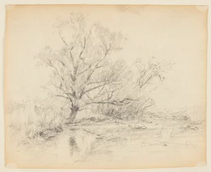 Boceto de paisaje