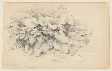 Estudio de una planta, calle 86 oeste